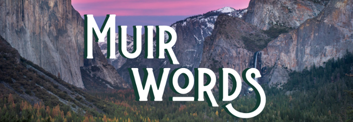 Muir Words Banner